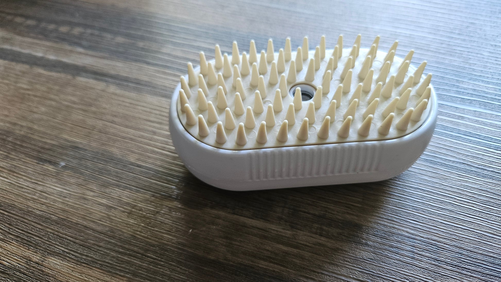 Brosse vapeur 🐱 et 🐕